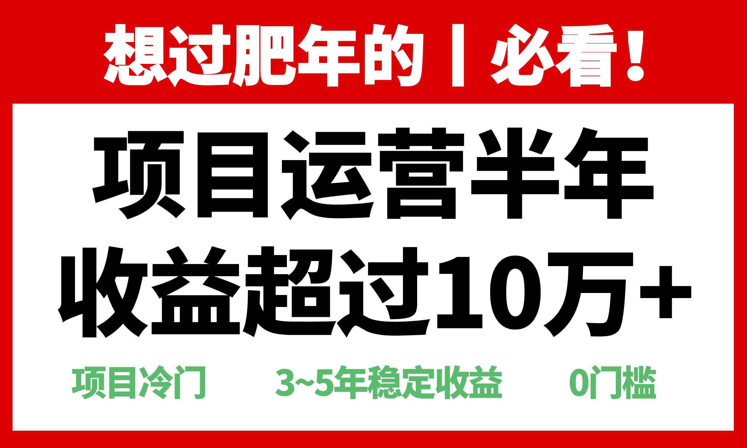 （13663期）年前过肥年的必看的超冷门项目，半年收益超过10万+，-3YVIP资源库