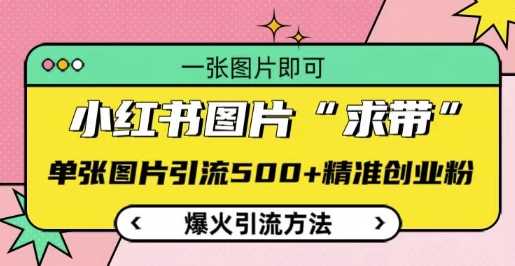 小红书图片‘求带’爆火引流法，单张图片引流500+精准创业粉【揭秘】-3YVIP资源库