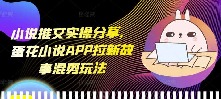 小说推文实操分享，蛋花小说APP拉新故事混剪玩法-3YVIP资源库