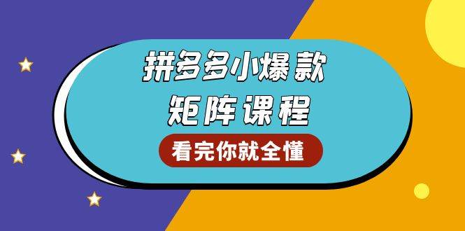 （13699期）拼多多爆款矩阵课程：教你测出店铺爆款，优化销量，提升GMV，打造爆款群-3YVIP资源库
