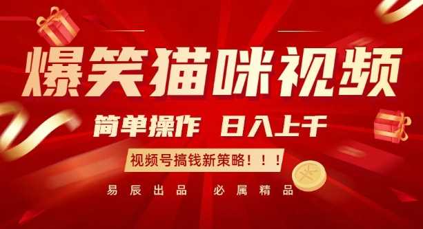 爆笑猫咪视频：简单操作，日入过K，视频号搞钱新策略【揭秘】-3YVIP资源库