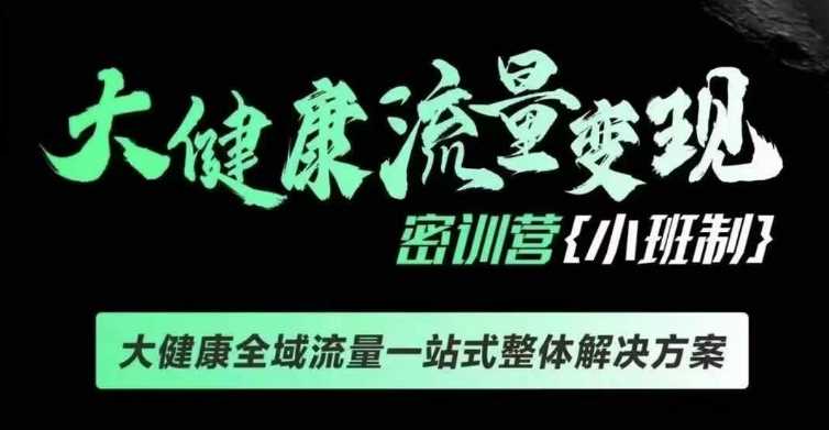 千万级大健康变现课线下课，大健康全域流量一站式整体解决方案-3YVIP资源库