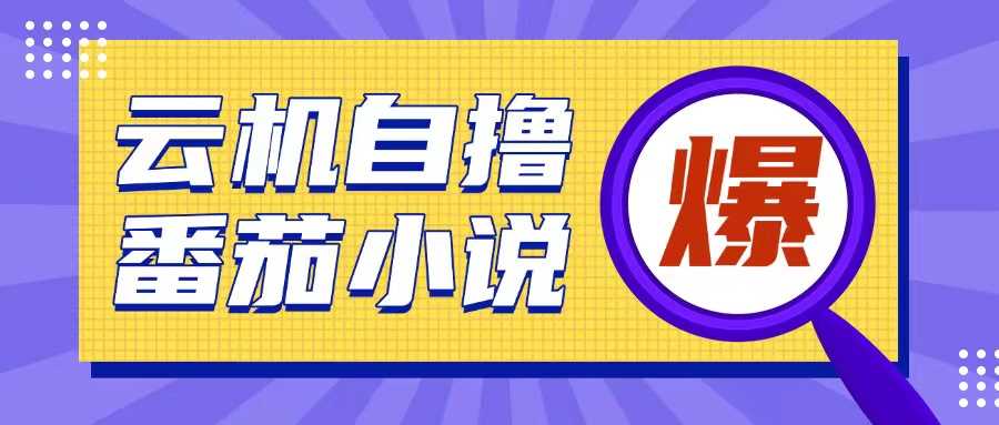 首发云手机自撸小说玩法，10块钱成本可撸200+收益操作简单【揭秘】-3YVIP资源库