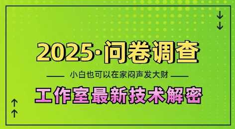 2025问卷调查最新工作室技术解密：一个人在家也可以闷声发大财，小白一天2张，可矩阵放大【揭秘】-3YVIP资源库