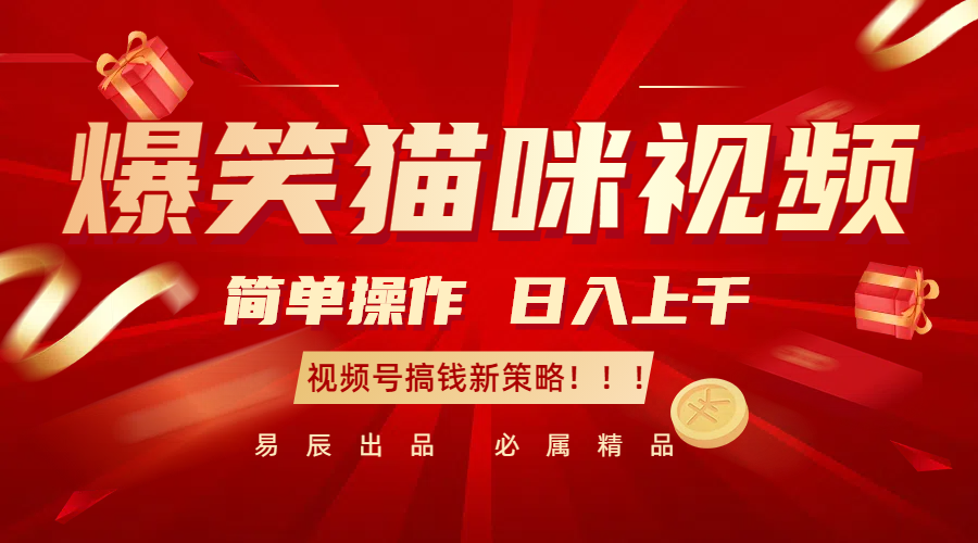 爆笑猫咪视频：简单操作，日入过千，视频号搞钱新策略！-3YVIP资源库