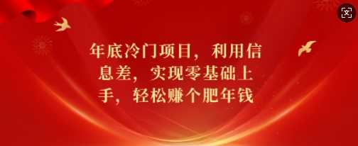 年底冷门项目，利用信息差，实现零基础上手，轻松赚个肥年钱【揭秘】-3YVIP资源库