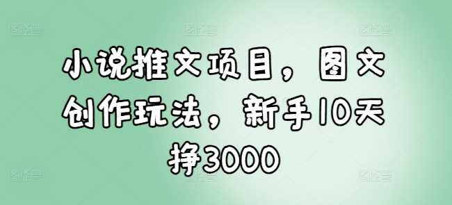 小说推文项目，图文创作玩法，新手10天挣3000-3YVIP资源库