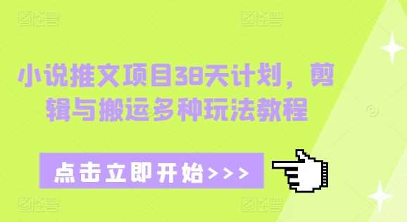 小说推文项目38天计划，剪辑与搬运多种玩法教程-3YVIP资源库