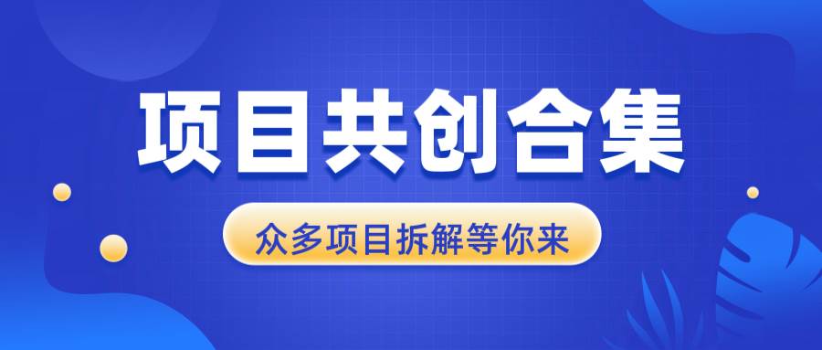 （13778期）项目共创合集，从0-1全过程拆解，让你迅速找到适合自已的项目-3YVIP资源库