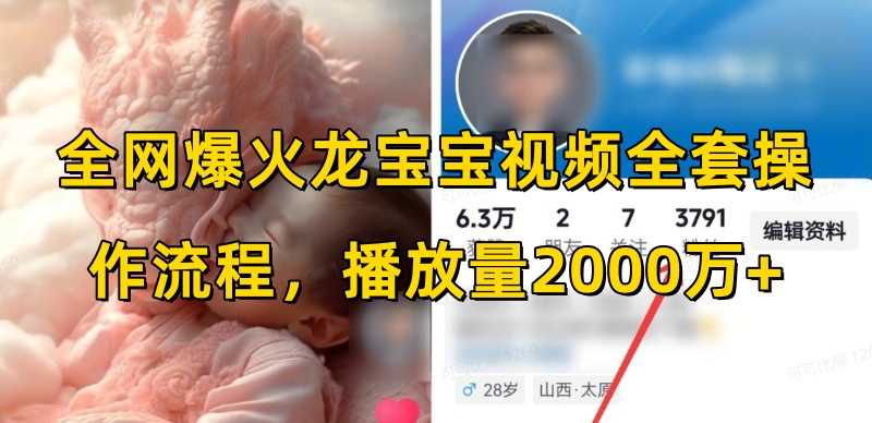 全网爆火龙宝宝视频全套操作流程，播放量2000万+-3YVIP资源库