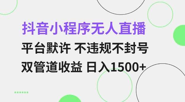 抖音小程序无人直播 平台默许 不违规不封号 双管道收益 日入多张 小白也能轻松操作【仅揭秘】-3YVIP资源库