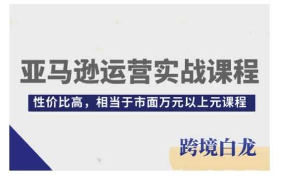 亚马逊运营实战课程，亚马逊从入门到精通，性价比高，相当于市面万元以上元课程-3YVIP资源库