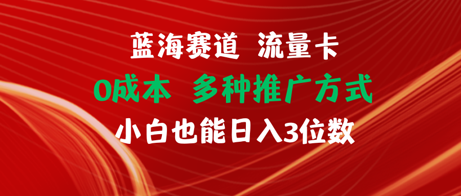 【站长实操】蓝海赛道 流量卡 0成本 小白也能日入三位数-3YVIP资源库