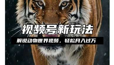 利用动物世界解说视频，赚分成计划收益，轻松月入过W，操作简单【揭秘】-3YVIP资源库