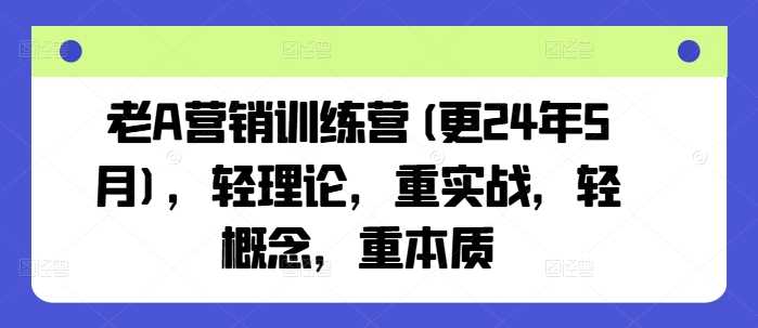 老A营销训练营(更24年12月)，轻理论，重实战，轻概念，重本质-3YVIP资源库