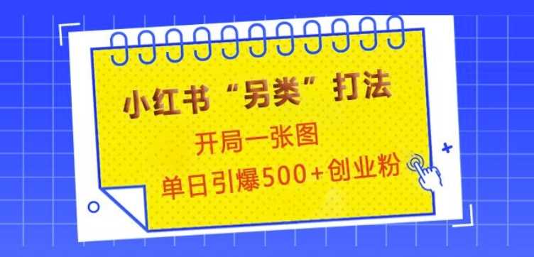 小红书“另类”打法，开局一张图，单日引爆500+精准创业粉【揭秘】-3YVIP资源库