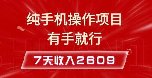 纯手机操作的小项目，有手就能做，7天收入2609+实操教程【揭秘】-3YVIP资源库