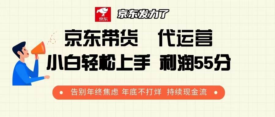 （13833期）京东带货 代运营 利润55分 告别年终焦虑 年底不打烊 持续现金流-3YVIP资源库