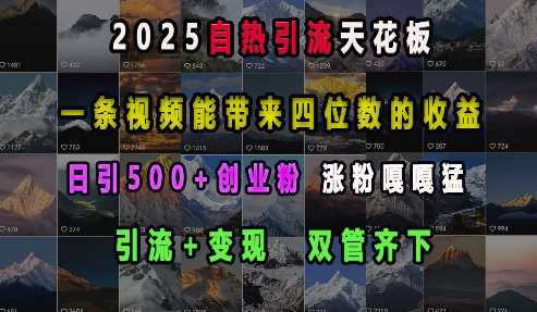 2025自热引流天花板，一条视频能带来四位数的收益，引流+变现双管齐下，日引500+创业粉，涨粉嘎嘎猛-3YVIP资源库