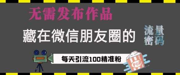 藏在微信朋友圈的流量密码，无需发布作品，单日引流100+精准创业粉【揭秘】-3YVIP资源库