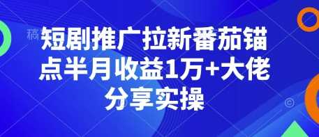 短剧推广拉新番茄锚点半月收益1万+大佬分享实操-3YVIP资源库