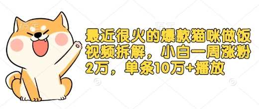 最近很火的爆款猫咪做饭视频拆解，小白一周涨粉2万，单条10万+播放(附保姆级教程)-3YVIP资源库