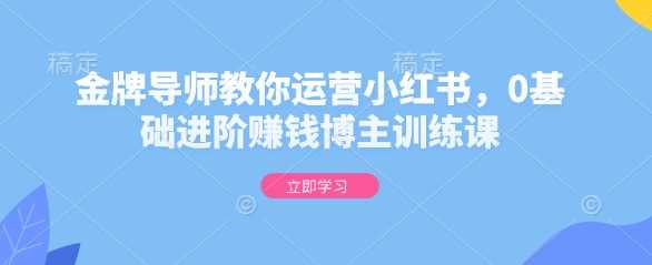 金牌导师教你运营小红书，0基础进阶赚钱博主训练课-3YVIP资源库