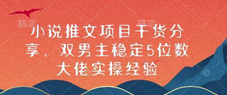 小说推文项目干货分享，双男主稳定5位数大佬实操经验-3YVIP资源库