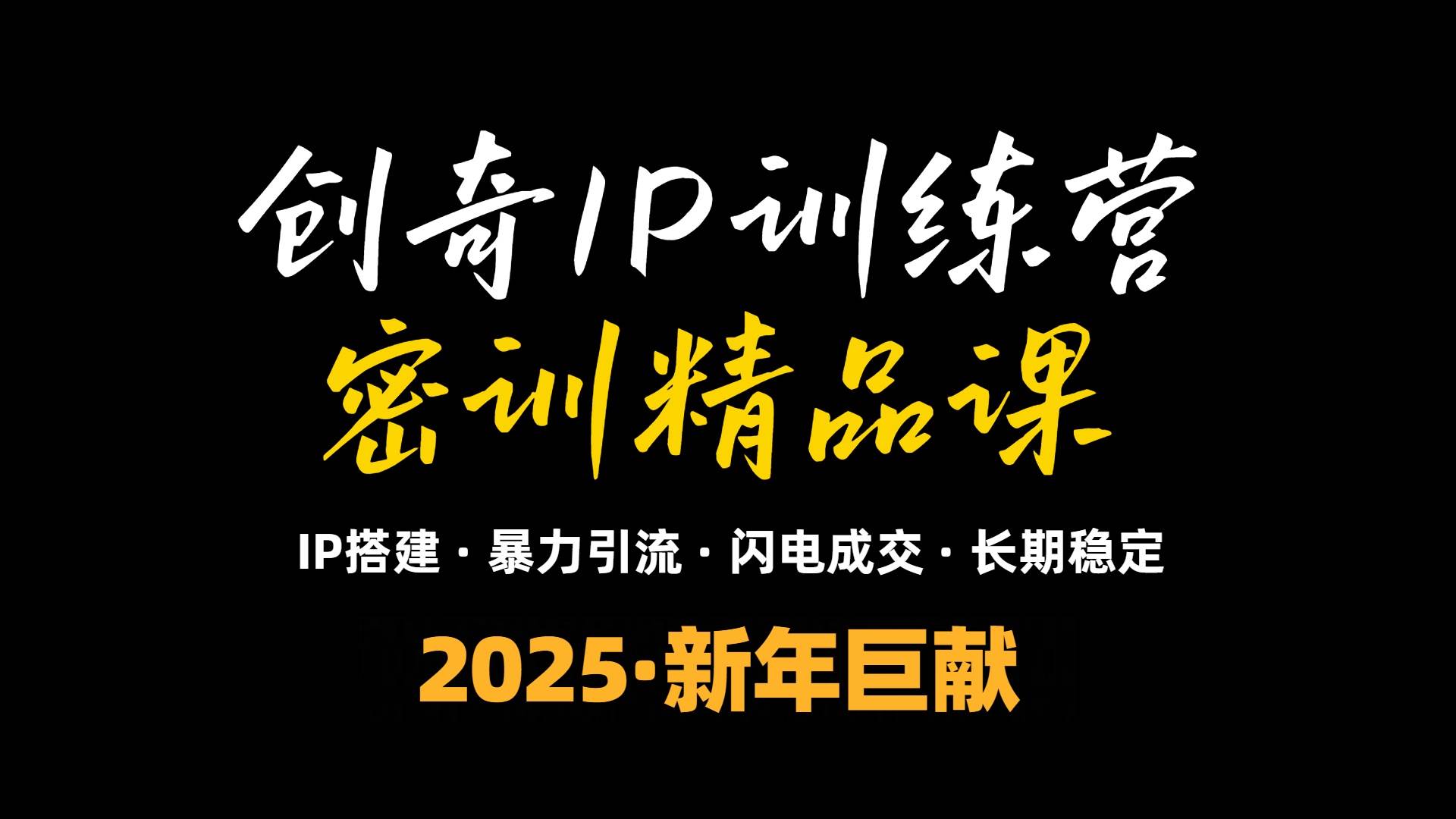 （13898期）2025年“知识付费IP训练营”小白避坑年赚百万，暴力引流，闪电成交-3YVIP资源库
