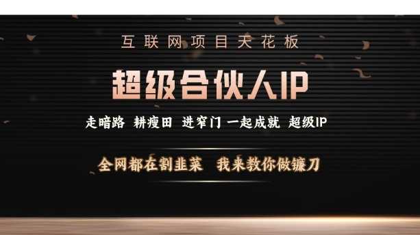 互联网项目天花板，超级合伙人IP，全网都在割韭菜，我来教你做镰刀【仅揭秘】-3YVIP资源库