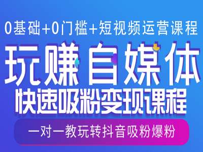 0基础+0门槛+短视频运营课程，玩赚自媒体快速吸粉变现课程，一对一教玩转抖音吸粉爆粉-3YVIP资源库