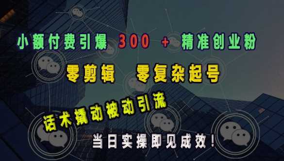小额付费引爆 300 + 精准创业粉，零剪辑、零复杂起号，话术撬动被动引流，当日实操即见成效-3YVIP资源库