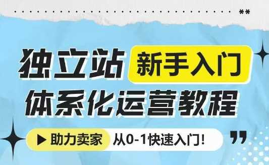 独立站新手入门体系化运营教程，助力独立站卖家从0-1快速入门!-3YVIP资源库