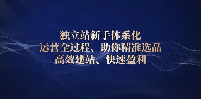 （13914期）独立站新手体系化 运营全过程，助你精准选品、高效建站、快速盈利-3YVIP资源库
