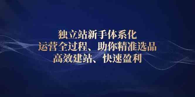 独立站新手体系化 运营全过程，助你精准选品、高效建站、快速盈利-3YVIP资源库