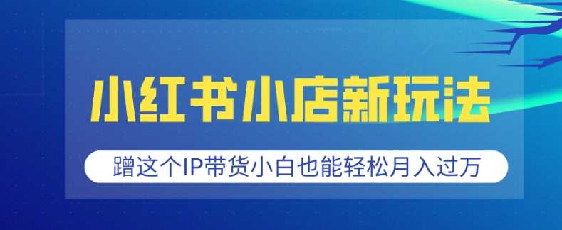 小红书小店新玩法，蹭这个IP带货，小白也能轻松月入过W【揭秘】-3YVIP资源库