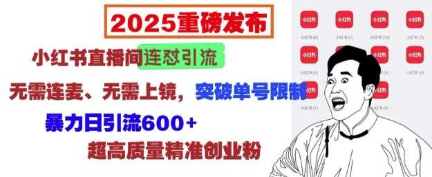2025重磅发布：小红书直播间连怼引流，无需连麦、无需上镜，突破单号限制，暴力日引流600+-3YVIP资源库