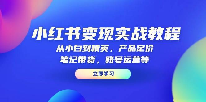 小红书变现实战教程：从小白到精英，产品定价，笔记带货，账号运营等-3YVIP资源库