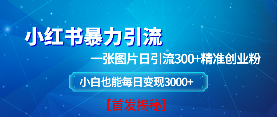 （13935期）小红书暴力引流法，一张图片日引 300+精准创业粉，每日稳定变现 3000+【揭秘】-3YVIP资源库
