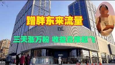 蹭胖东来流量，三天涨万粉，收益直接起飞-3YVIP资源库