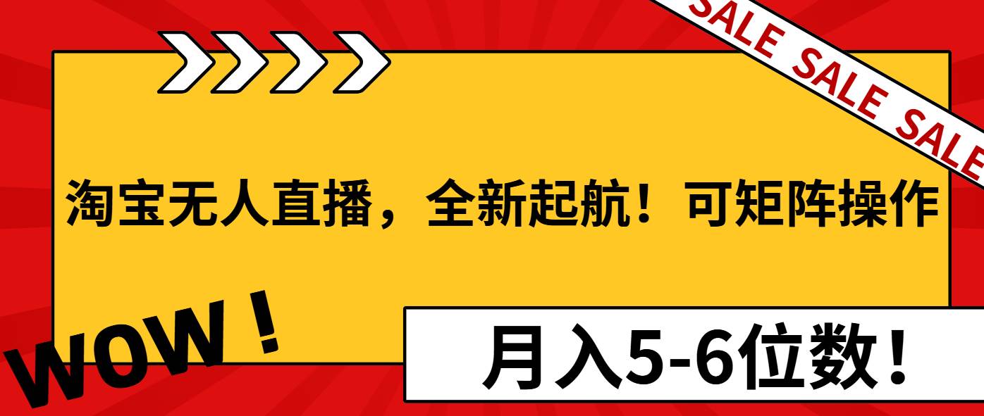 （13946期）淘宝无人直播，全新起航！可矩阵操作，月入5-6位数！-3YVIP资源库