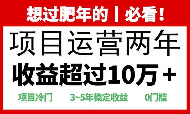 （13952期）2025快递站回收玩法：收益超过10万+，项目冷门，0门槛-3YVIP资源库