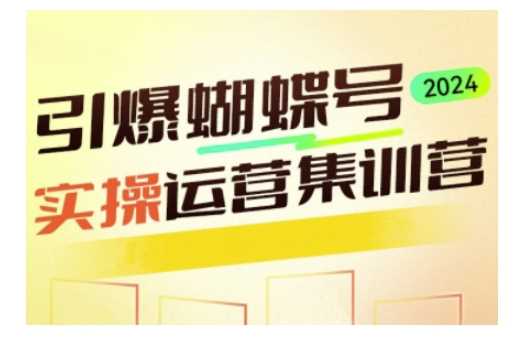 引爆蝴蝶号实操运营，助力你深度掌握蝴蝶号运营，实现高效实操，开启流量变现之路-3YVIP资源库