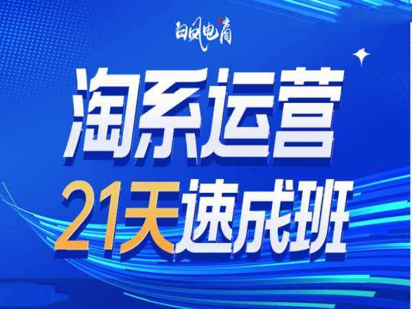 淘系运营21天速成班35期，年前最后一波和2025方向-3YVIP资源库