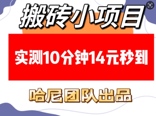搬砖小项目，实测10分钟14元秒到，每天稳定几张(赠送必看稳定)-3YVIP资源库