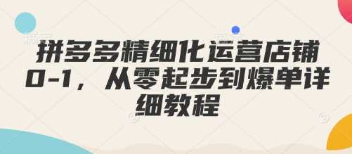 拼多多精细化运营店铺0-1，从零起步到爆单详细教程-3YVIP资源库