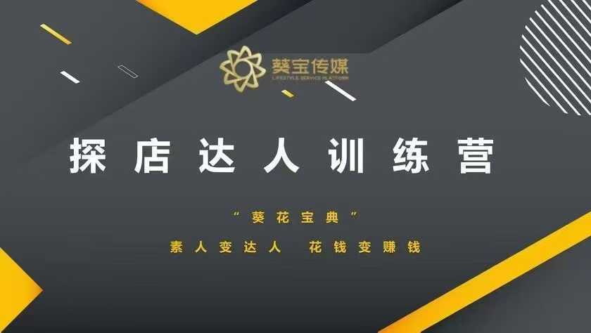 探店达人训练营，素人变达人，花钱变赚钱-3YVIP资源库
