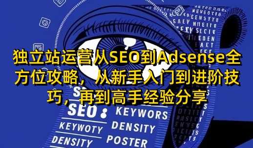 独立站运营从SEO到Adsense全方位攻略，从新手入门到进阶技巧，再到高手经验分享-3YVIP资源库