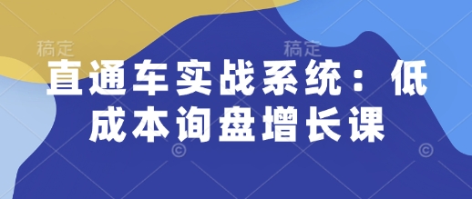直通车实战系统：低成本询盘增长课，让个人通过技能实现升职加薪，让企业低成本获客，订单源源不断-3YVIP资源库