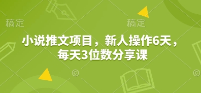 小说推文项目，新人操作6天，每天3位数分享课-3YVIP资源库